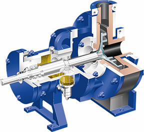 Stan Cor Pumps